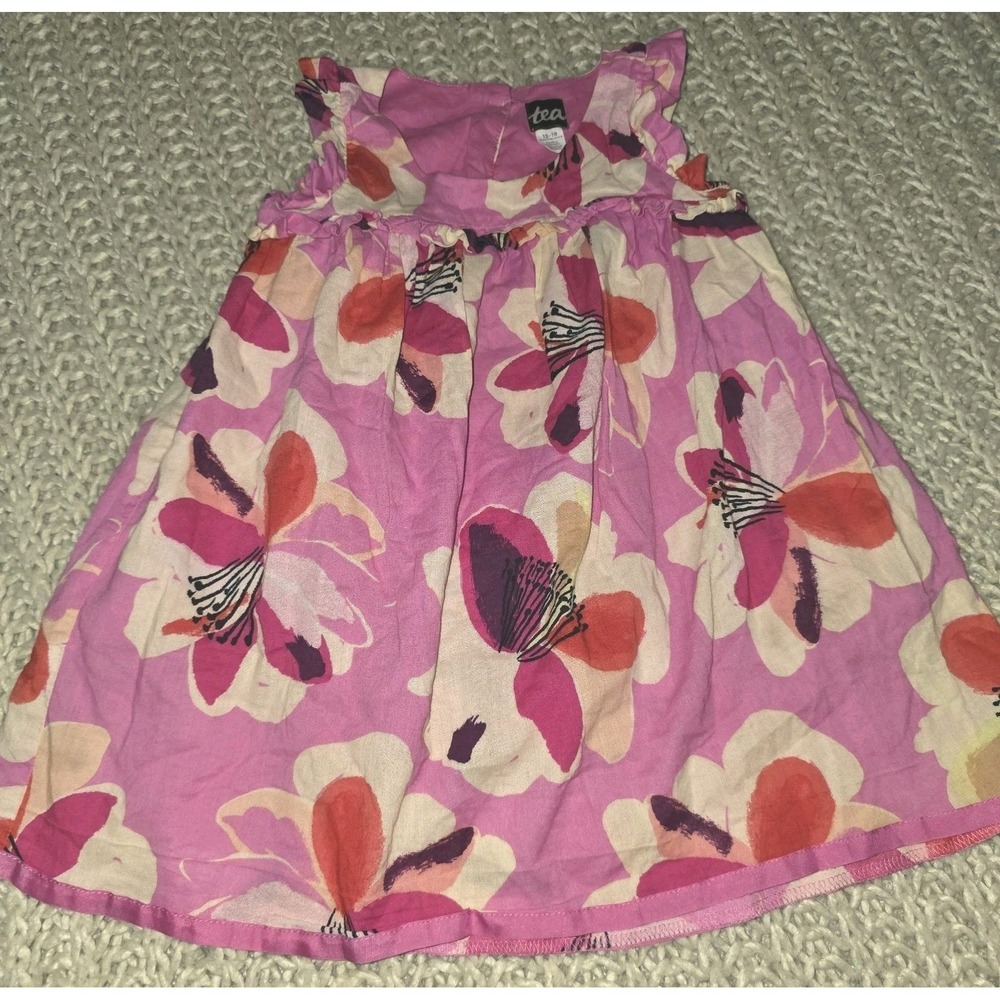 Tea Brand Baby Girl Dress Size 12-18 Month Pink Floral Lined